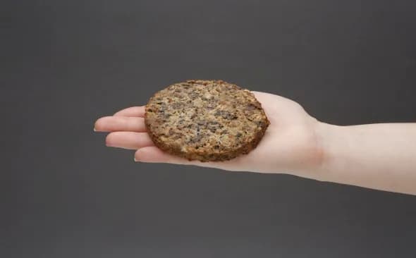 Ile kalorii ma wege burger? Zaskakujące różnice w kaloryczności Ile kalorii ma wege burger? Zaskakujące różnice w kaloryczności